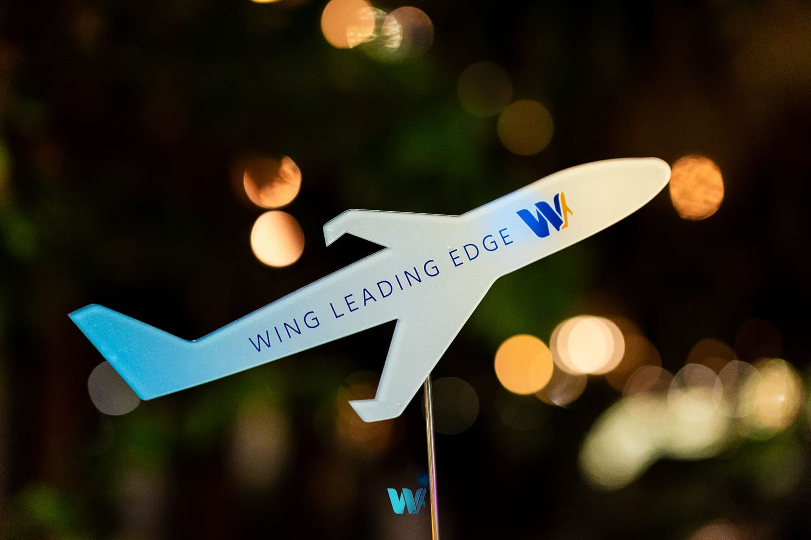 WING Leading Edge plane trophy